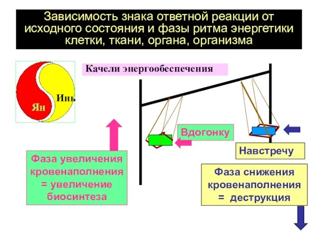 Зависимость знака ответной реакции от исходного состояния и фазы ритма энергетики клетки,