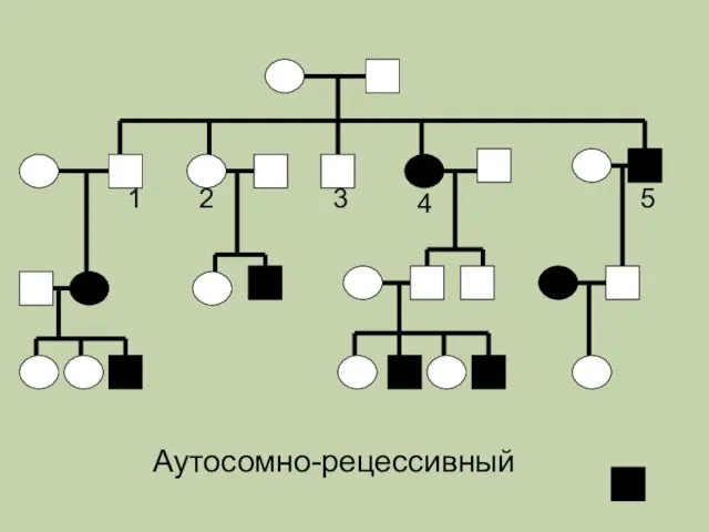 1 2 3 4 5 Аутосомно-рецессивный