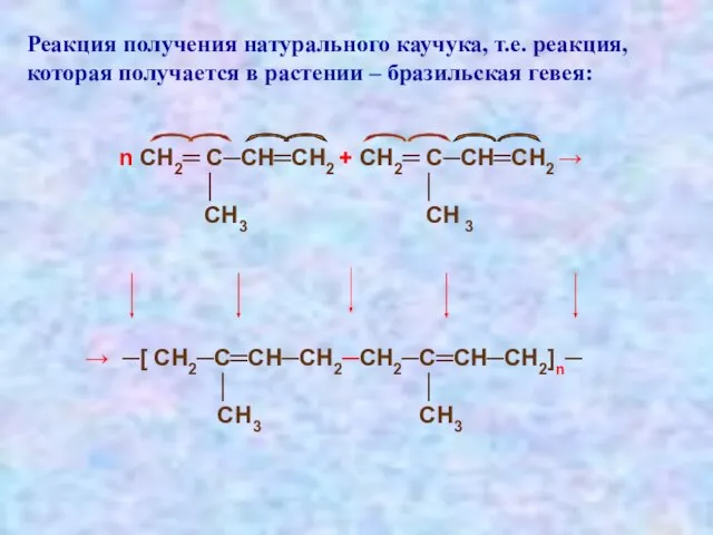 Реакция получения натурального каучука, т.е. реакция, которая получается в растении – бразильская