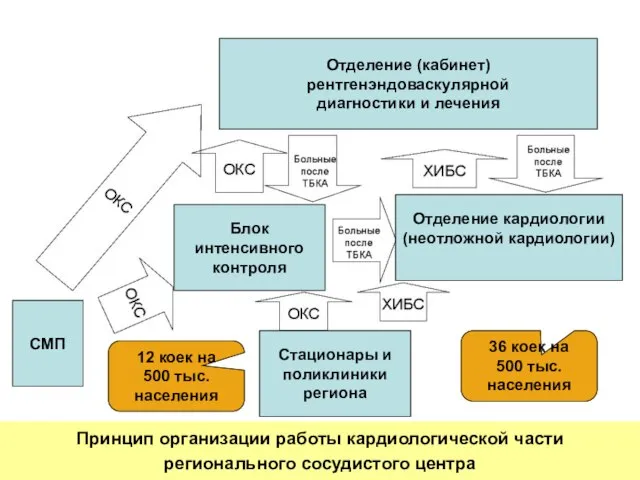 Принцип организации работы кардиологической части регионального сосудистого центра Принцип организации работы кардиологической