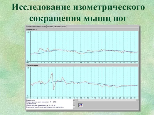 Исследование изометрического сокращения мышц ног