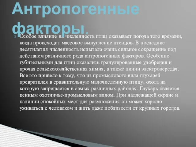 Особое влияние на численность птиц оказывает погода того времени, когда происходит массовое