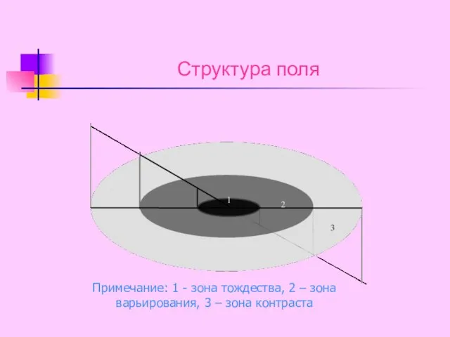 Структура поля Примечание: 1 - зона тождества, 2 – зона варьирования, 3 – зона контраста