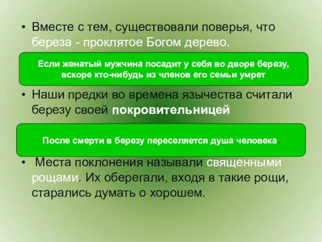 Вместе с тем, существовали поверья, что береза - проклятое Богом дерево. Наши