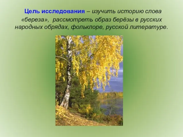 Цель исследования – изучить историю слова «береза», рассмотреть образ берёзы в русских