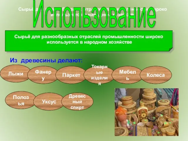 Сырьё для разнообразных отраслей промышленности широко используется в народном хозяйстве Использование Сырьё