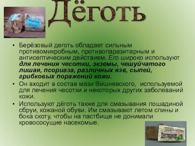 Берёзовый деготь обладает сильным противомикробным, противопаразитарным и антисептическим действием. Его широко используют