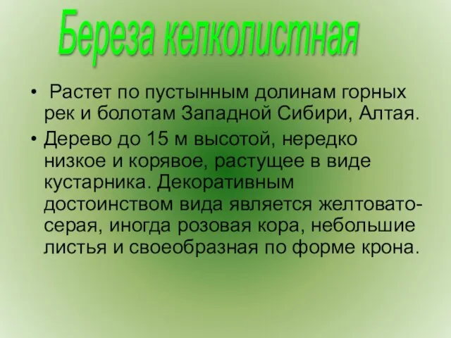 Растет по пустынным долинам горных рек и болотам Западной Сибири, Алтая. Дерево