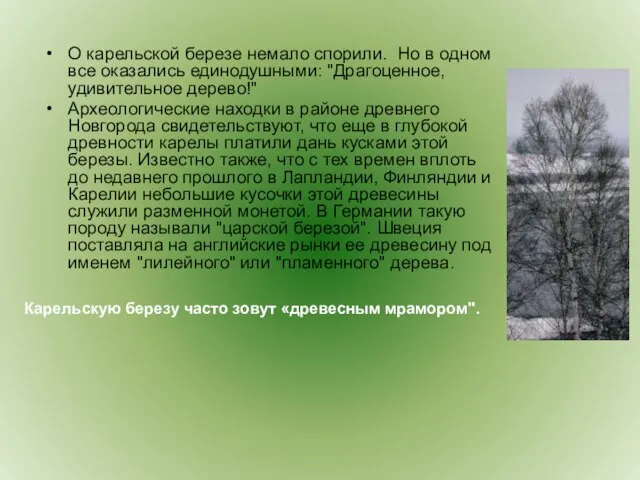 О карельской березе немало спорили. Но в одном все оказались единодушными: "Драгоценное,