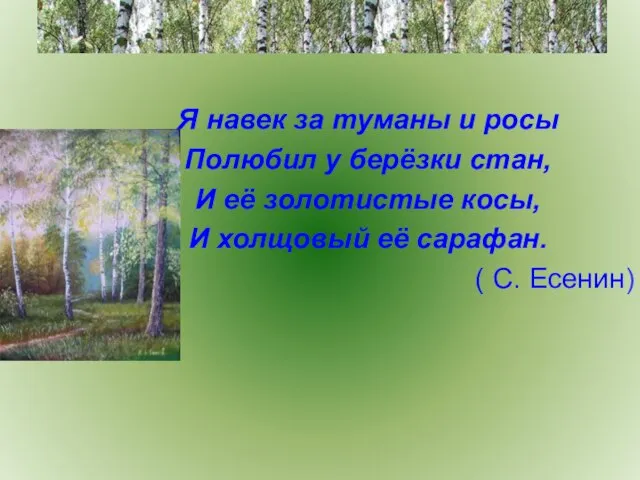 Я навек за туманы и росы Полюбил у берёзки стан, И её