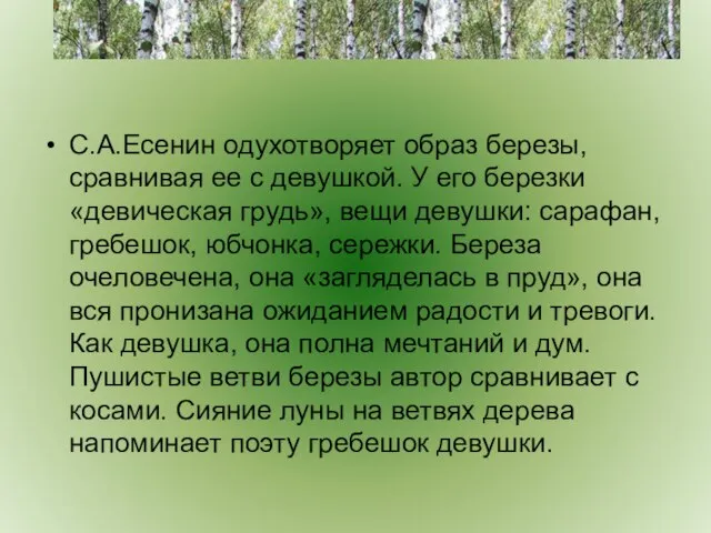 С.А.Есенин одухотворяет образ березы, сравнивая ее с девушкой. У его березки «девическая