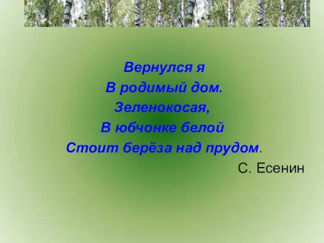 Вернулся я В родимый дом. Зеленокосая, В юбчонке белой Стоит берёза над прудом. С. Есенин