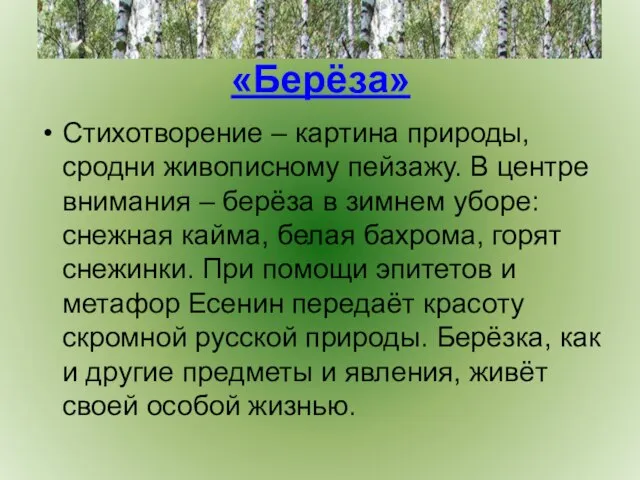 «Берёза» Стихотворение – картина природы, сродни живописному пейзажу. В центре внимания –