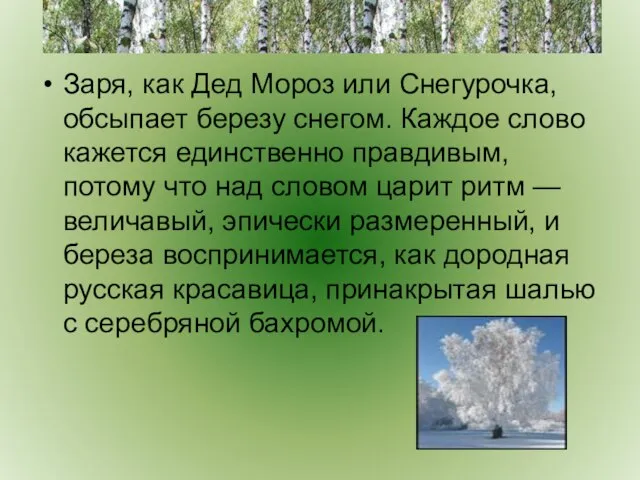 Заря, как Дед Мороз или Снегурочка, обсыпает березу снегом. Каждое слово кажется