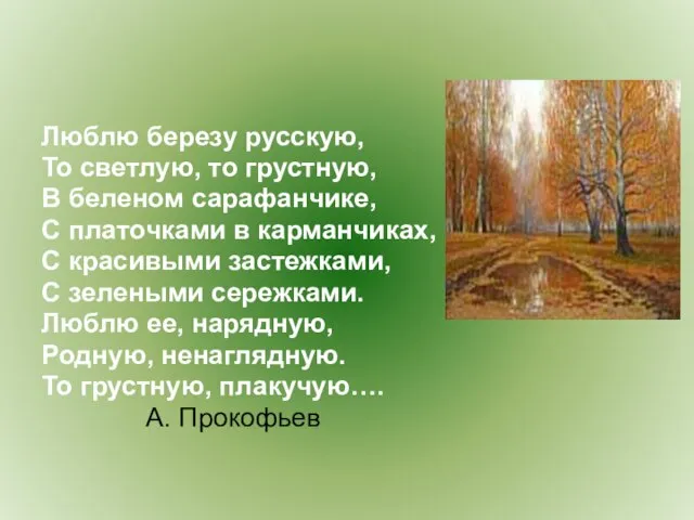 Люблю березу русскую, То светлую, то грустную, В беленом сарафанчике, С платочками