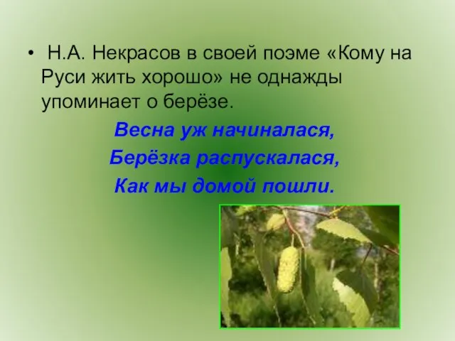 Н.А. Некрасов в своей поэме «Кому на Руси жить хорошо» не однажды