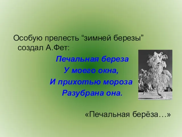 Особую прелесть “зимней березы” создал А.Фет: Печальная береза У моего окна, И