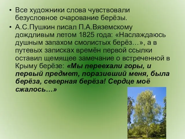 Все художники слова чувствовали безусловное очарование берёзы. А.С.Пушкин писал П.А.Вяземскому дождливым летом