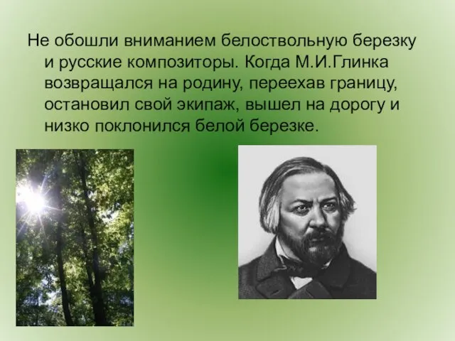 Не обошли вниманием белоствольную березку и русские композиторы. Когда М.И.Глинка возвращался на