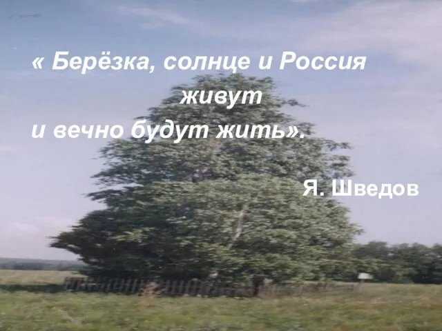 « Берёзка, солнце и Россия живут и вечно будут жить». Я. Шведов