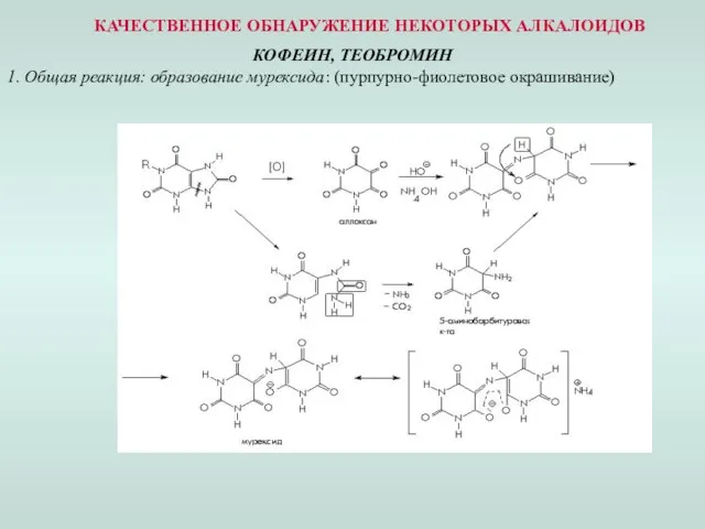 КАЧЕСТВЕННОЕ ОБНАРУЖЕНИЕ НЕКОТОРЫХ АЛКАЛОИДОВ КОФЕИН, ТЕОБРОМИН 1. Общая реакция: образование мурексида: (пурпурно-фиолетовое окрашивание)