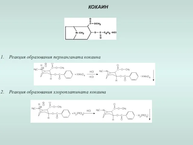 КОКАИН Реакция образования перманганата кокаина Реакция образования хлороплатината кокаина