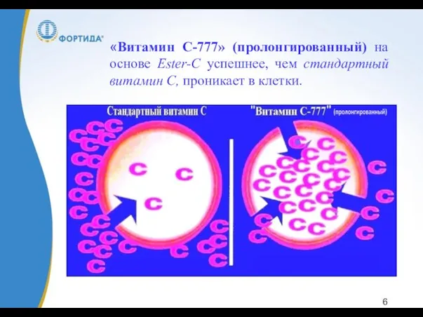 «Витамин С-777» (пролонгированный) на основе Ester-C успешнее, чем стандартный витамин С, проникает в клетки.