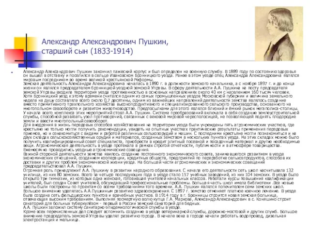 Александр Александрович Пушкин, старший сын (1833-1914) Александр Александрович Пушкин закончил пажеский корпус