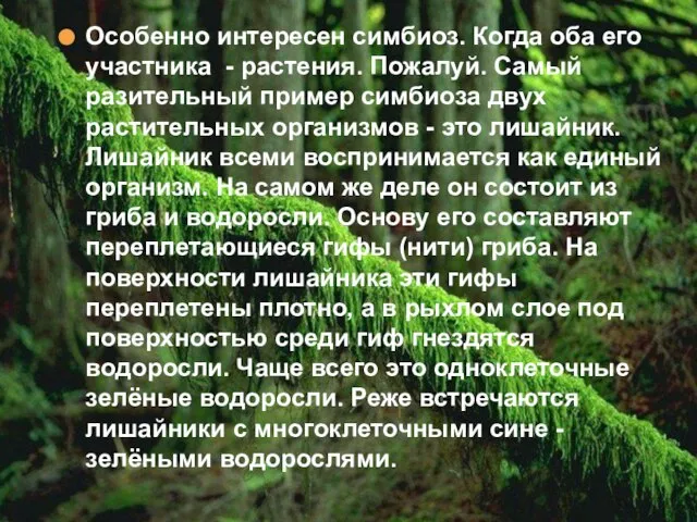 Особенно интересен симбиоз. Когда оба его участника - растения. Пожалуй. Самый разительный