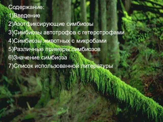 Содержание: 1)Введение 2)Азотфиксирующие симбиозы 3)Симбиозы автотрофов с гетеротрофами 4)Симбиозы животных с микробами