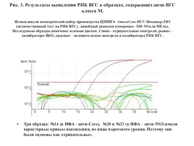 Рис. 3. Результаты выявления РНК ВГС в образцах, содержащих анти-ВГС класса М.