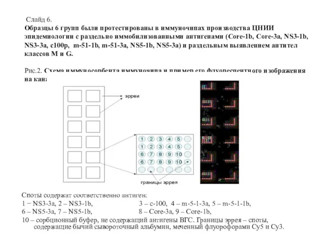 Слайд 6. Образцы 6 групп были протестированы в иммуночипах производства ЦНИИ эпидемиологии