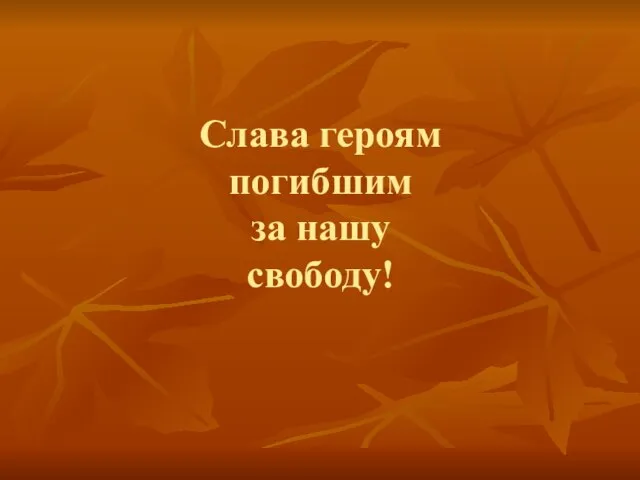 Слава героям погибшим за нашу свободу!