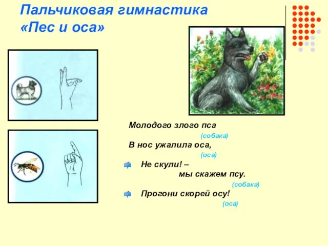 Пальчиковая гимнастика «Пес и оса» Молодого злого пса (собака) В нос ужалила