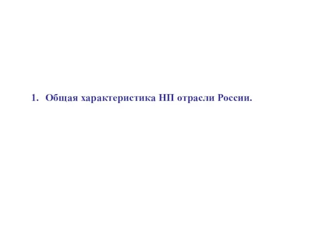 Общая характеристика НП отрасли России.