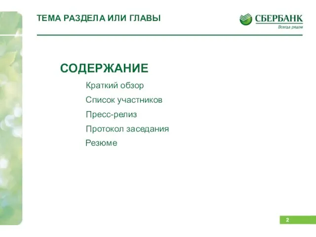 ТЕМА РАЗДЕЛА ИЛИ ГЛАВЫ СОДЕРЖАНИЕ Краткий обзор Список участников Пресс-релиз Протокол заседания Резюме