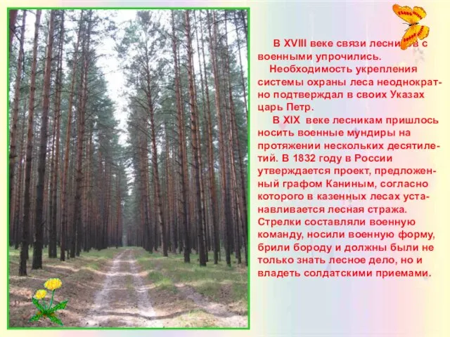 В XVIII веке связи лесников с военными упрочились. Необходимость укрепления системы охраны