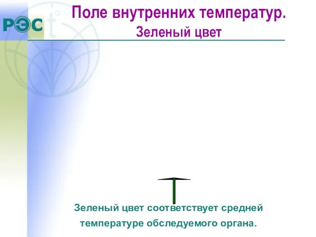 Зеленый цвет соответствует средней температуре обследуемого органа. Поле внутренних температур. Зеленый цвет