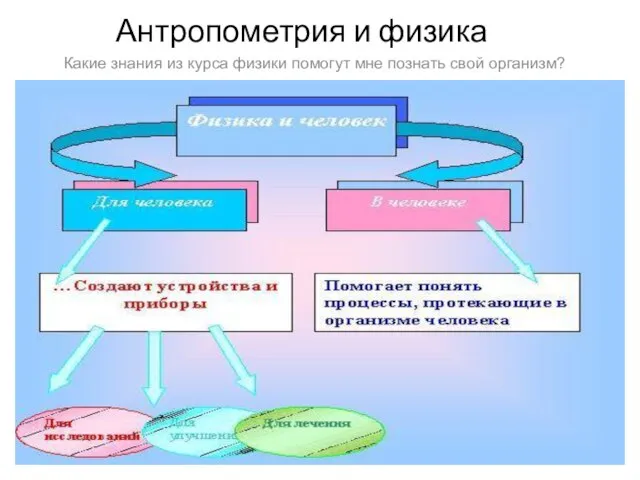 Антропометрия и физика Какие знания из курса физики помогут мне познать свой организм?