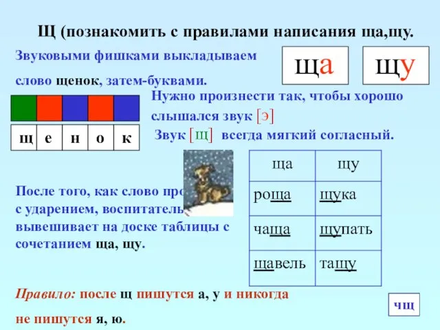 Щ (познакомить с правилами написания ща,щу. Звуковыми фишками выкладываем слово щенок, затем-буквами.