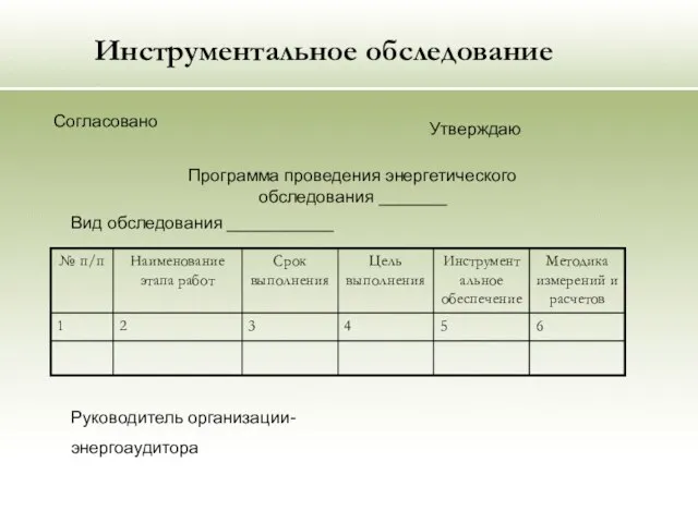 Инструментальное обследование Согласовано Утверждаю Программа проведения энергетического обследования _______ Вид обследования ___________ Руководитель организации- энергоаудитора