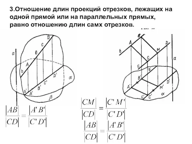 3.Отношение длин проекций отрезков, лежащих на одной прямой или на параллельных прямых,