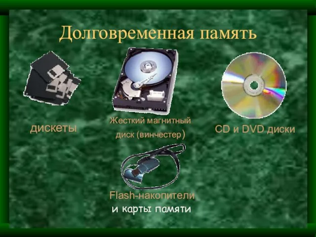 Долговременная память дискеты Жесткий магнитный диск (винчестер) CD и DVD диски Flash-накопители и карты памяти