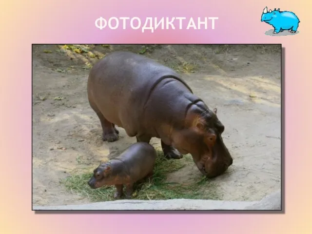 ФОТОДИКТАНТ