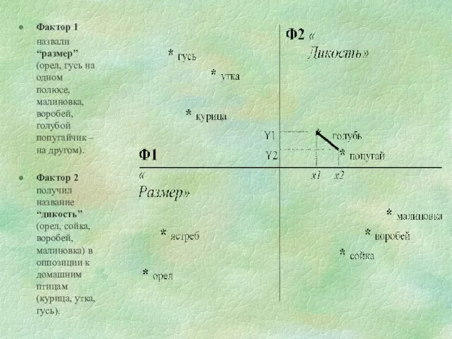 Фактор 1 назвали “размер” (орел, гусь на одном полюсе, малиновка, воробей, голубой