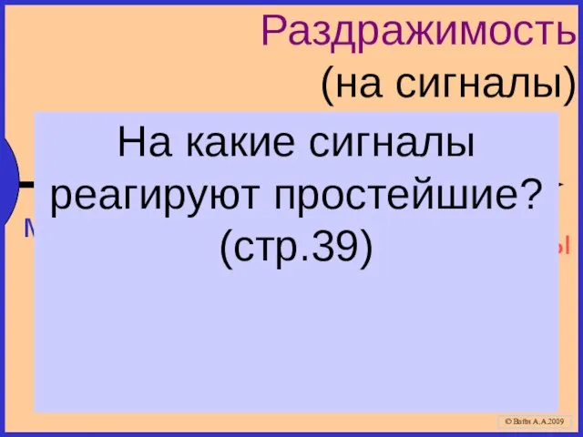 Раздражимость (на сигналы) механические световые (чувствительный глазок) химические К5 На какие сигналы