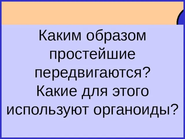 © Вайн А.А.2009 К8 Движение ложноножками, ресничками и жгутиками Фототаксис и хемотаксис