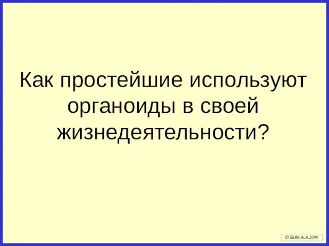 Как простейшие используют органоиды в своей жизнедеятельности? Связь пройденной темы с новой