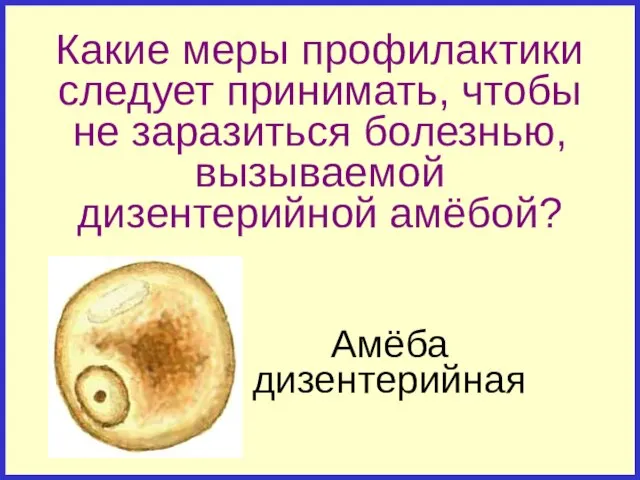 Какие меры профилактики следует принимать, чтобы не заразиться болезнью, вызываемой дизентерийной амёбой?