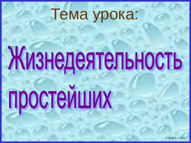 Тема урока: Жизнедеятельность простейших © Вайн А.А.2009